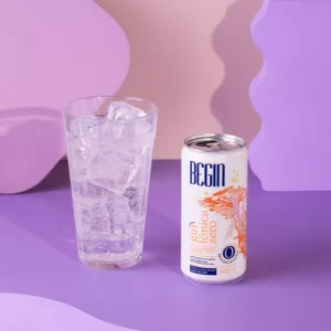 GIN TÔNICA ZERO 269ML - BEGIN
